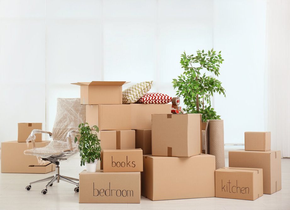 about db movers moving companies hamilton
