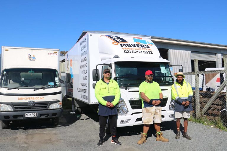 Choosing The Best Removal Companies In Hamilton