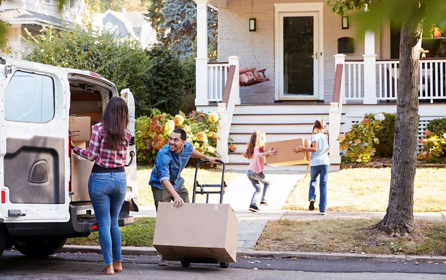 find best removal companies in Hamilton