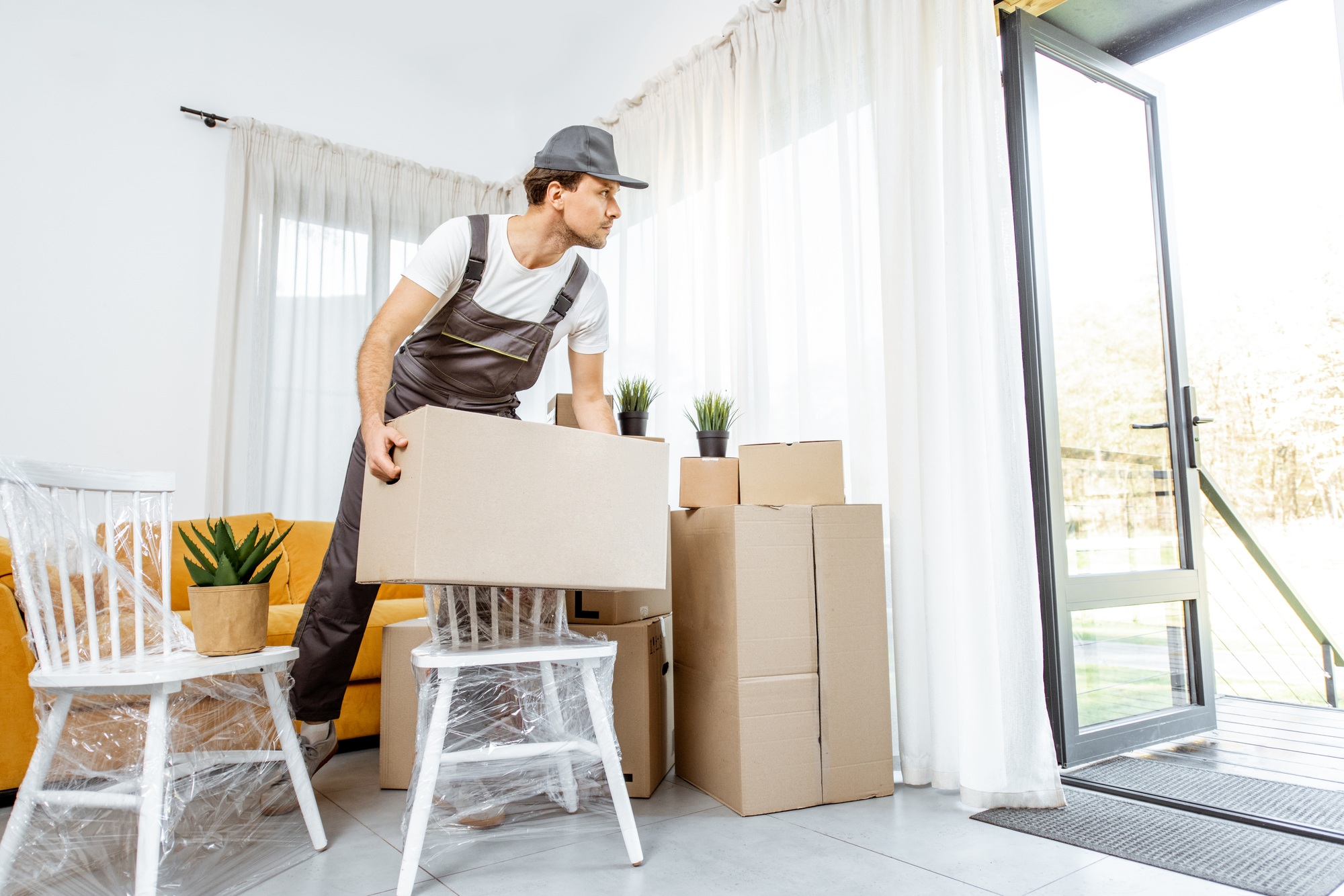 Professional furniture removalists in Hamilton