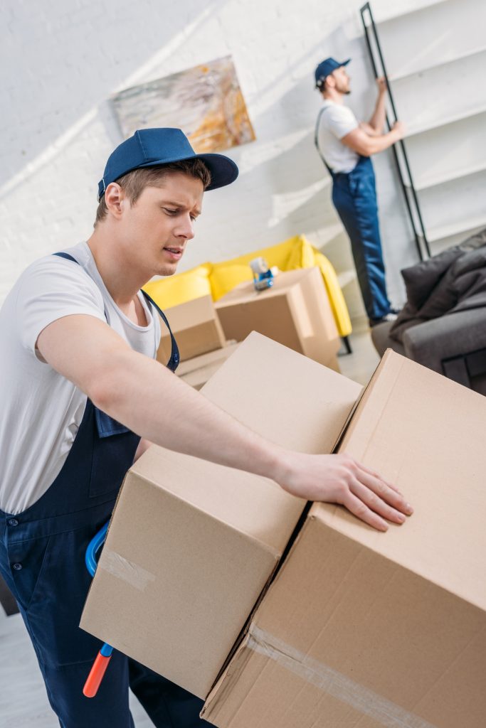 Expert furniture moving company Tauranga