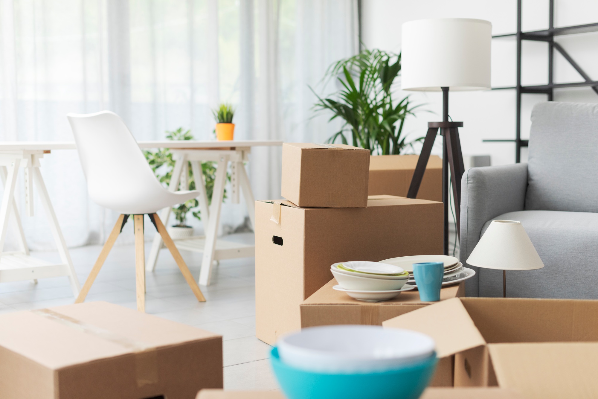 Moving house furniture and boxes with DB Movers