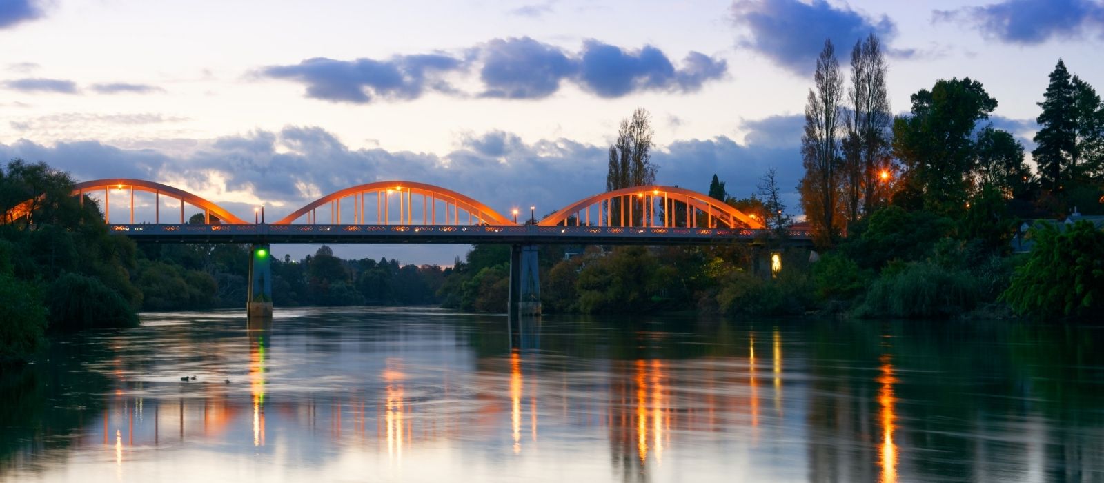 How Much Do Movers Cost in Hamilton in 2026