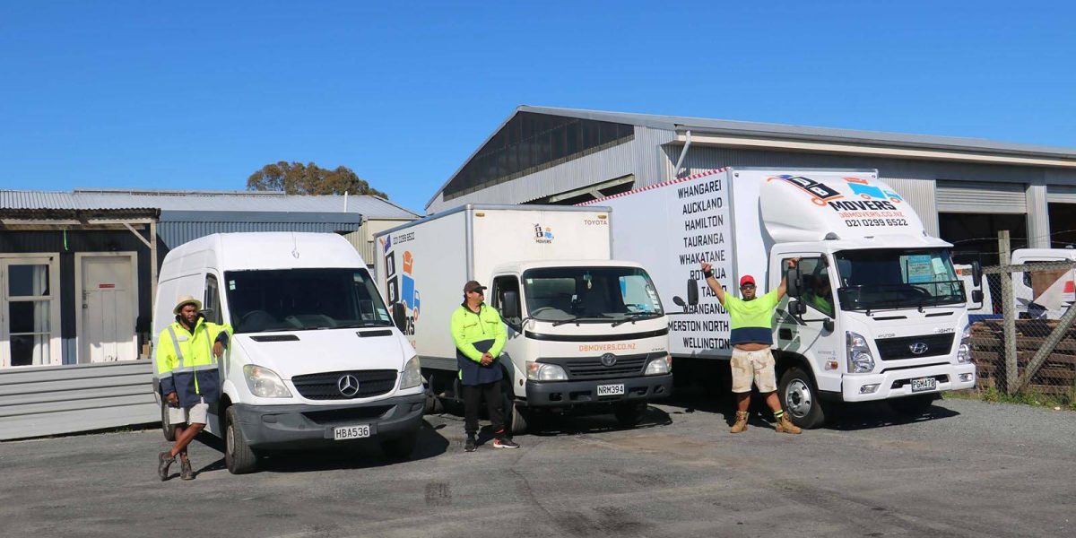 DBMovers Transportation