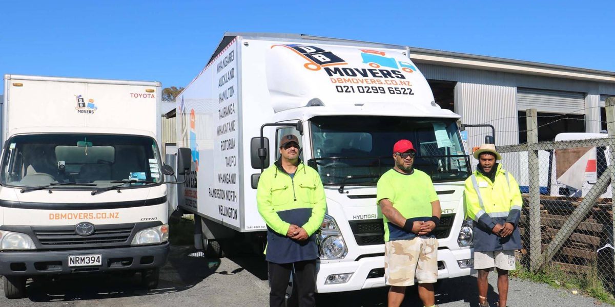 dbmovers transports and employees